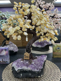 Citrine Tree
