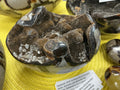 Septarian Egg