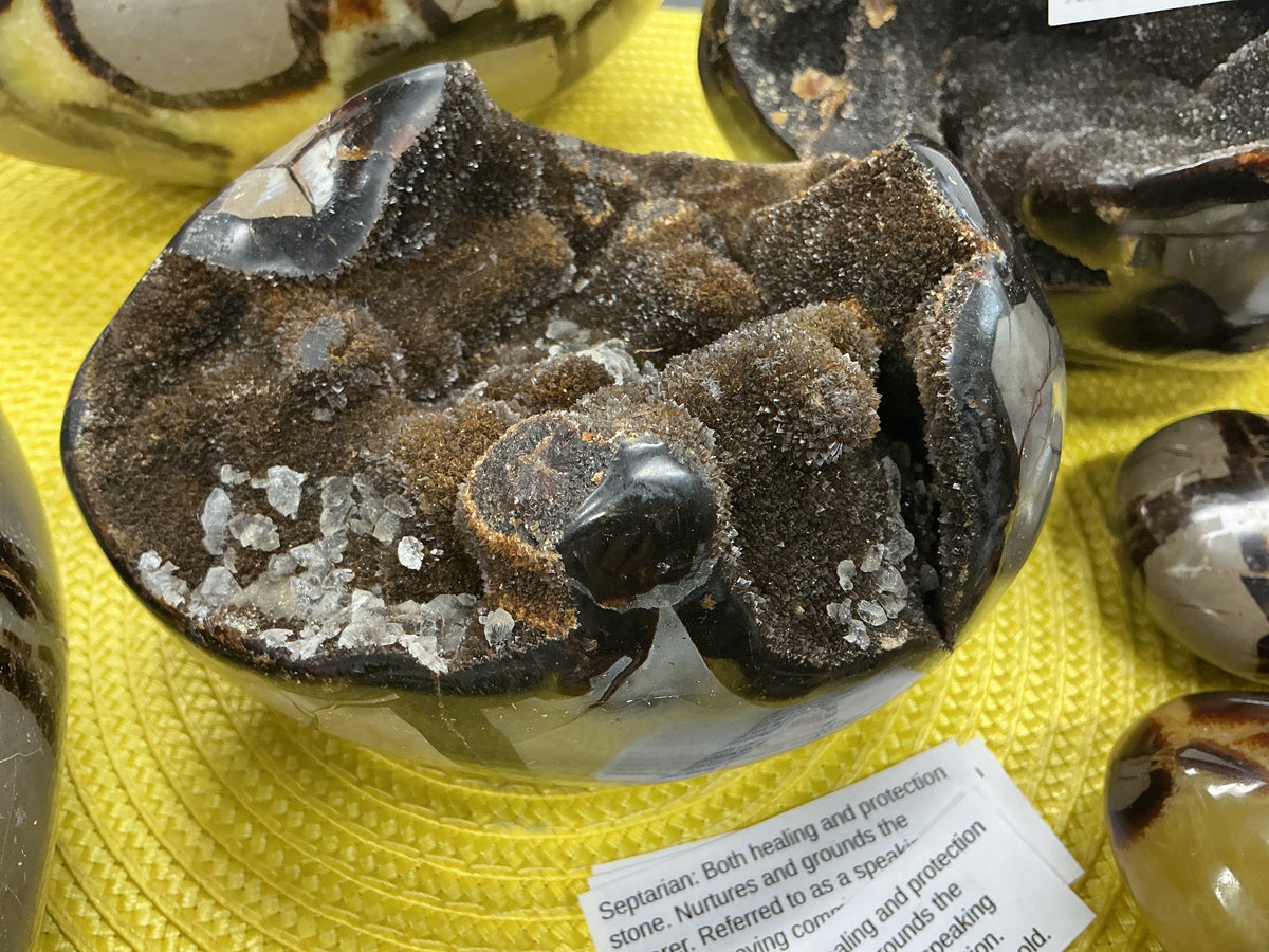 Septarian Egg