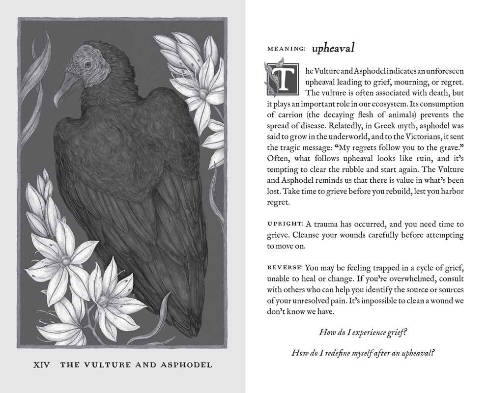 Woodland Wardens by Jessica  Roux: Mixed Media; 52 pages / English