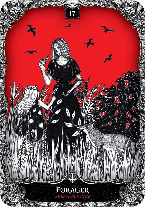 Oracle of the Witch by Flavia Kate Peters: Flashcards; 192 pages / English