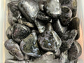 Indigo Gabbro