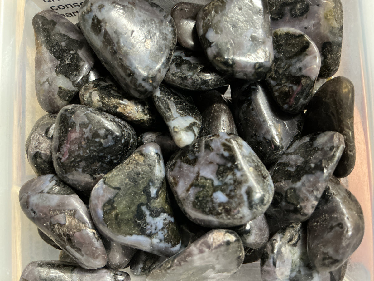 Indigo Gabbro