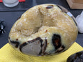 Septarian Egg