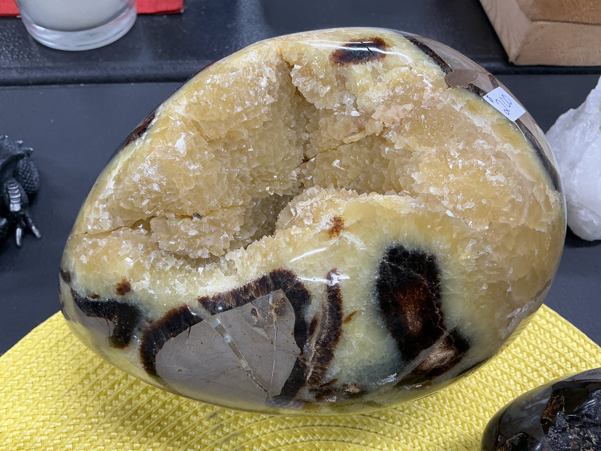Septarian Egg