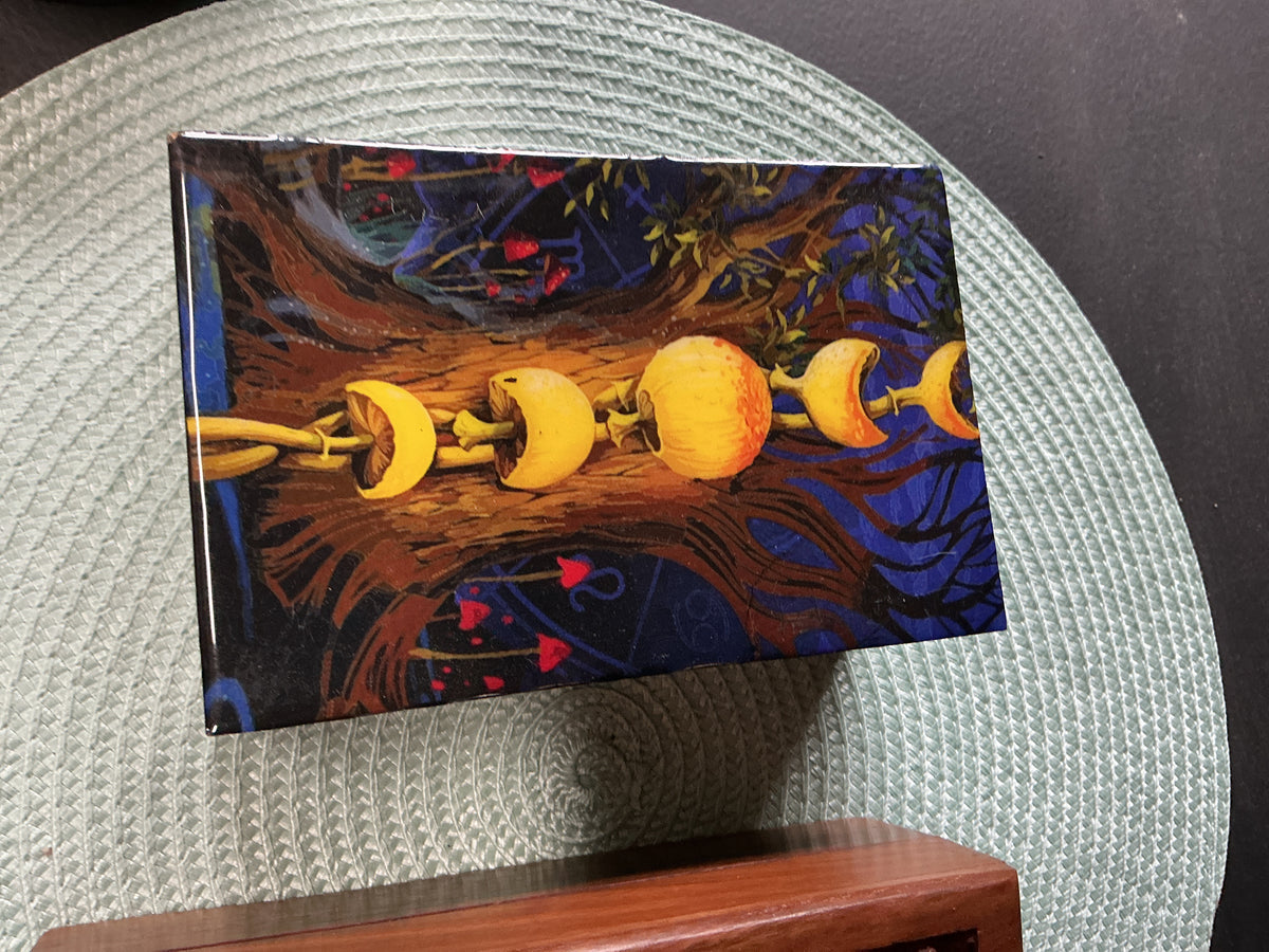 Box Moon