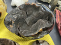 Septarian Egg