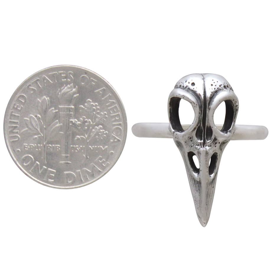 Sterling Silver or Bronze Raven Skull Ring: Sterling Silver / 9