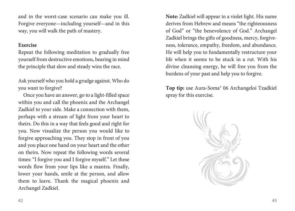 Oracle of the Phoenix by Christine Arana Fader: Flashcards; 128 pages / English