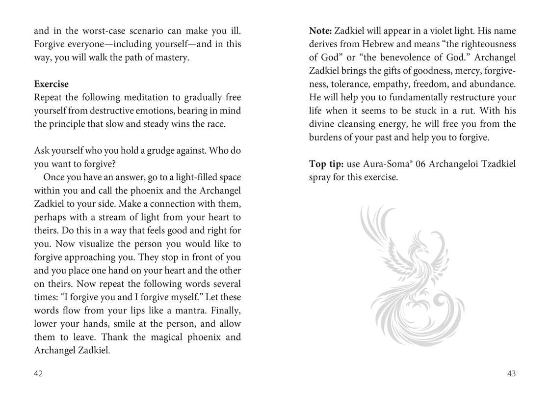 Oracle of the Phoenix by Christine Arana Fader: Flashcards; 128 pages / English