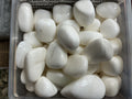 White Shell