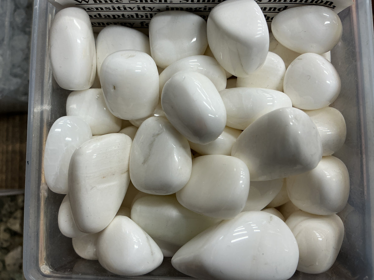 White Shell