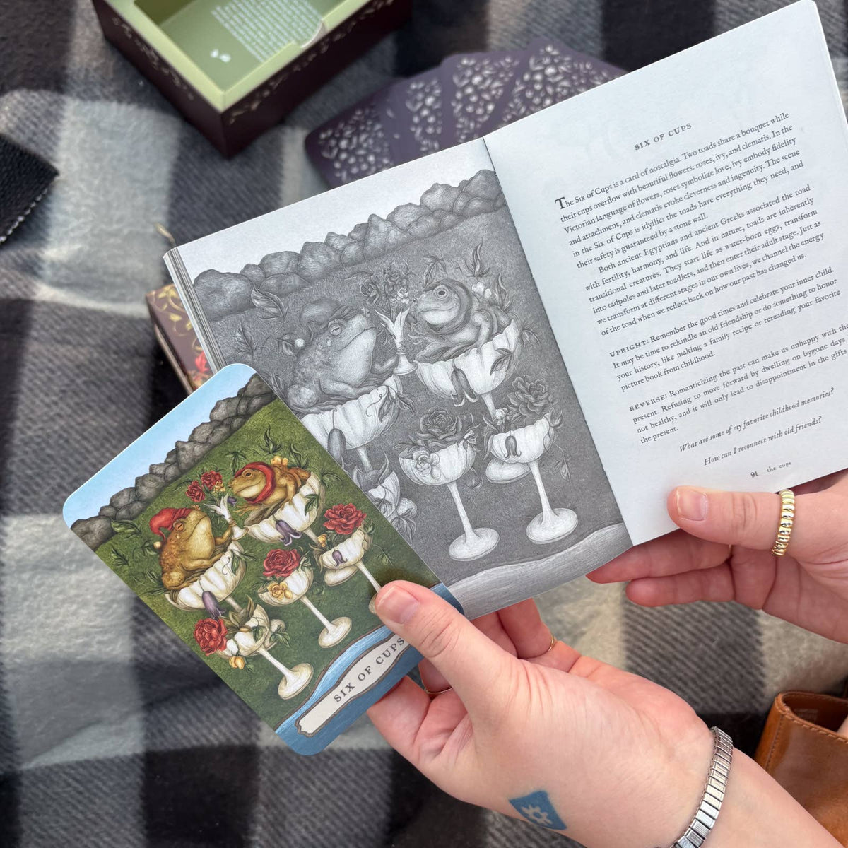Tarot of the Woodland Wardens by Jessica  Roux: English