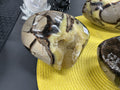 Septarian Egg