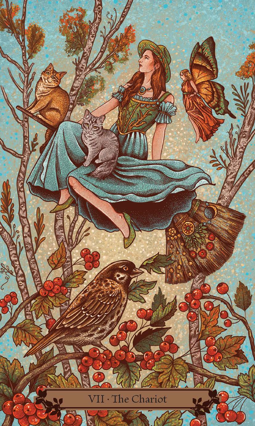 The Hedgewitch Tarot Kit (Tarot deck and book)
