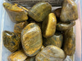 Lionskin Jasper