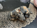 Smoky Quartz Cluster
