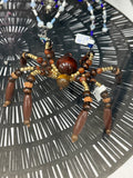 Beaded Spider lg brown wood