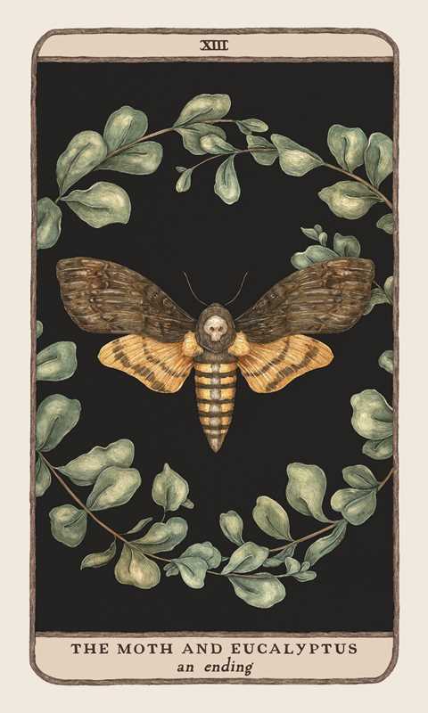 Woodland Wardens by Jessica  Roux: Mixed Media; 52 pages / English