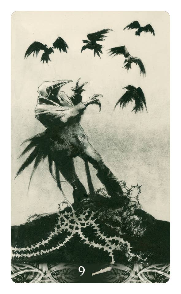 Murder Of Crows Tarot: English